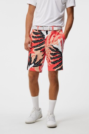 Paradise Monstera Coral Jlindeberg Eloy Print Shorts | SN-JL574579