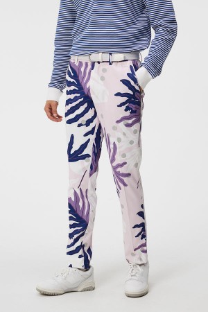 Paradise Monstera Pink Jlindeberg Stuart Print Stripe Pant | SN-JL574561