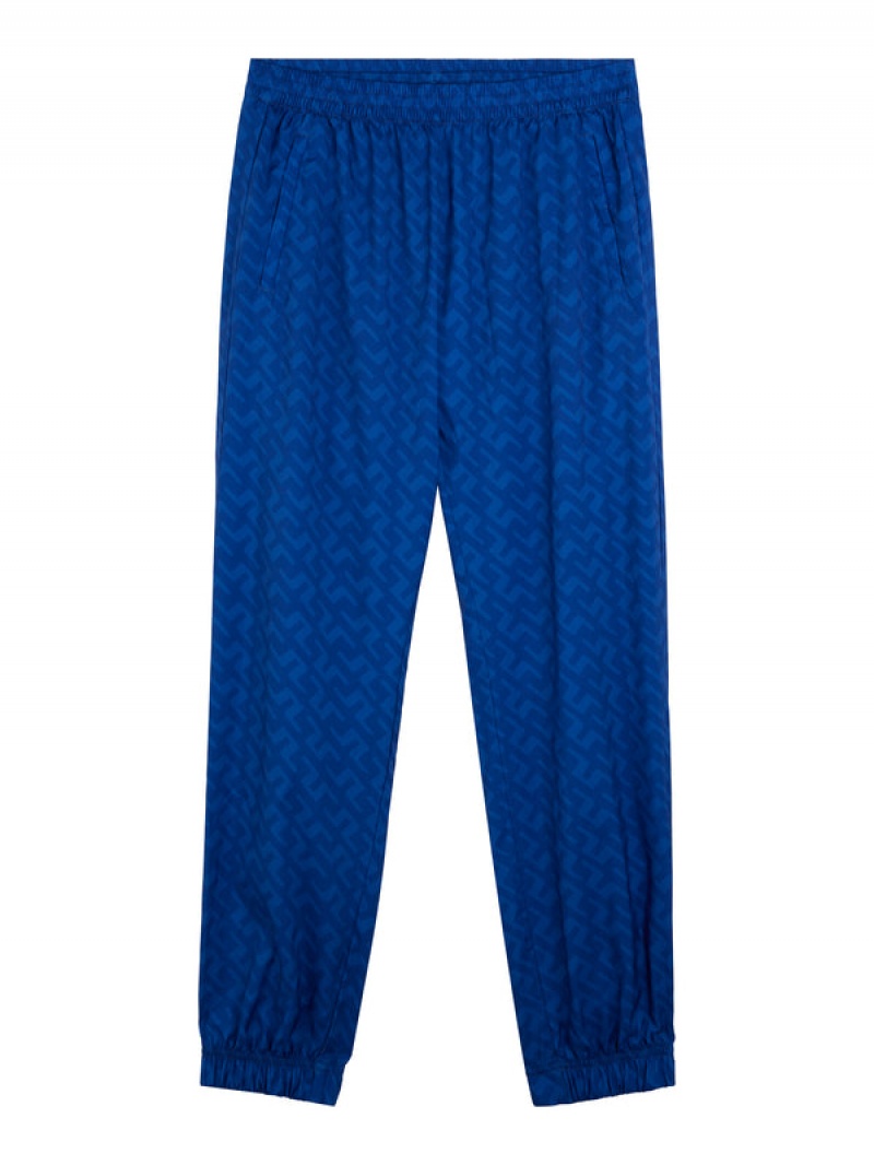 Blue Painted Bridge Jlindeberg Petrus Print Pant | SN-JL574541