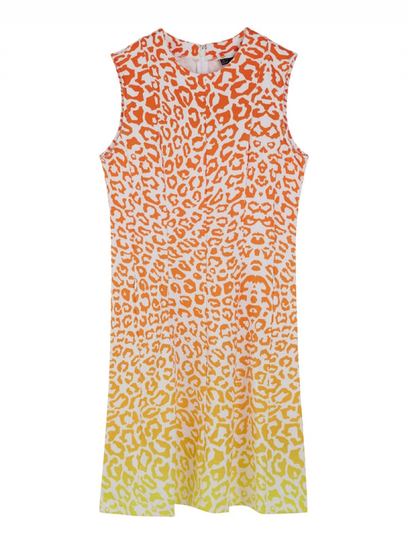 Leo Reflect Sunset Jlindeberg Jasmin Print Dress | SN-JL575226