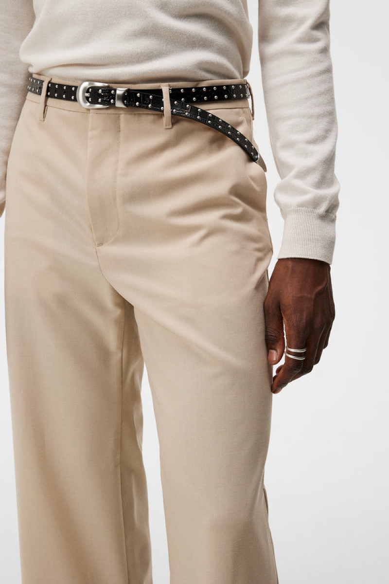 Oyster Gray Jlindeberg Sonny Wide Wool Pants | SN-JL574966